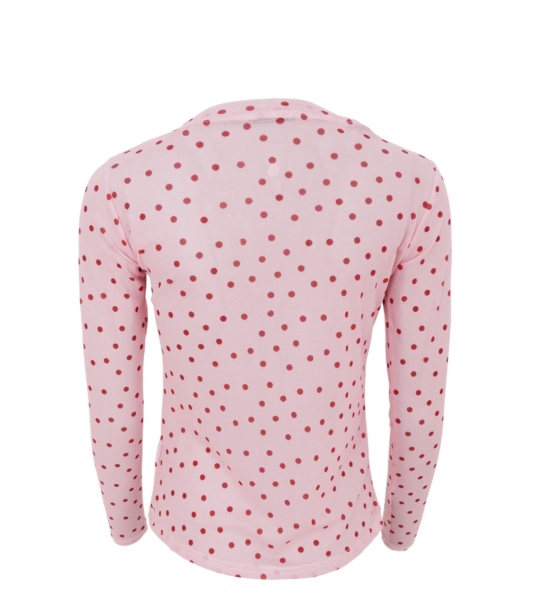 Black Colour - BCANNIE Meshbluse - Rose dot
